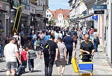 Hameln - Dana Pollok