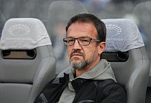 Fredi Bobic - Soeren Stache/dpa-Zentralbild/dpa