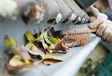 Gegen Wassersch&auml;den: So befreien Sie Dachrinnen vom Herbstlaub - Kai Remmers/dpa-tmn