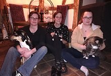 Tierschutz - Kirsten Fuhrmann