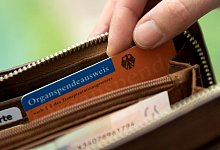 Organspendeausweis in einem Geldbeutel - Andrea Warnecke/dpa-tmn