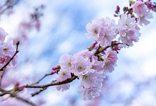 Wetter in Nordrhein-Westfalen - Thomas Banneyer/dpa