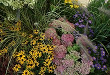 Staudenbeet - Foto: Ina Fassbender