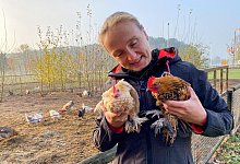 Petra Hagemeier war ziemlich erstaunt, als sie die beiden fremden H&auml;hne am Dienstag entdeckte. - Anke Schneider