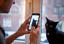 Ein Mann fotografiert seine Katze - Silvia Marks/dpa-tmn
