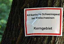 Schweinpest - Foto: Bernd Settnik/dpa-Zentralbid/dpa