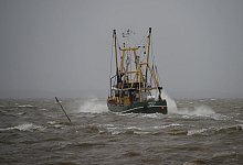 Fischerei in der Nordsee - Foto: Carsten Rehder/dpa