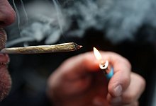 Cannabis - Marcus Brandt/dpa