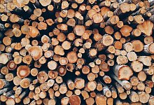 Schon im Sommer 2022 stieg die Nachfrage nach Brennholz massiv an. Nun ist es schwer, noch welches zu bekommen. - Pixabay