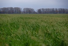 Wetterausblick - Henning Kaiser/dpa