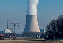 Laut den Grünen ist Atomkraft nicht das richtige Mittel, um unabhängig von russischen Gaslieferungen zu werden. - Armin Weigel/dpa