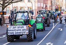 Bauernproteste in Mainz - Andreas Arnold/dpa
