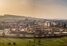 Lemgo - Torben Gocke