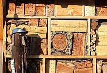 Insektenhotel - Foto: Jan Woitas