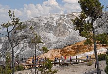 Mammoth Hot Springs - Foto: Christian R&ouml;wekamp