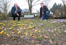 Bl&uuml;tenmeer - Cordula Gr&ouml;ne(LZ)