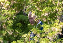 K&ouml;nig Charles - Arthur Edwards/The Sun/PA Wire/dpa