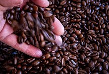 Kaffeepreis - Jens Büttner/dpa