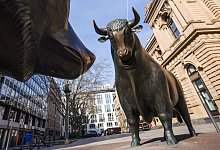 Der Bulle an der B&ouml;rse in Frankfurt/Main - Foto: Frank Rumpenhorst/dpa