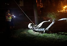 Trump-Regierung stellt umstrittene Statue wieder auf - Maya Alleruzzo/AP/dpa