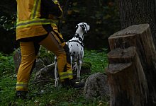 Polizei sucht nach Achtjährigem aus Güstrow - Stefan Sauer/dpa