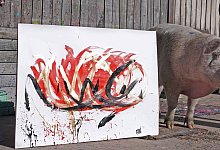 Kunst von Pigcasso - Foto: Kristin Palitza/dpa