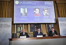 Physik-Nobelpreis - Foto: Claudio Bresciani/TT NEWS AGENCY/AP/dpa