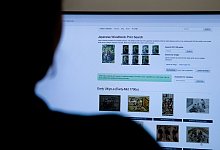 Ukiyo-e: In japanischen Holzschnitten st&ouml;bern - Christin Klose/dpa-tmn/dpa