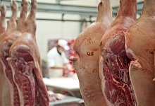 Fleischindustrie - Foto: Hendrik Schmidt/dpa-Zentralbild/dpa