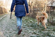 Ein Hund und sein Halter gehen spazieren - Foto: Robert G&uuml;nther/dpa-tmn