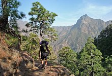 Wandern auf La Palma - Foto: Manuel Meyer/dpa-tmn