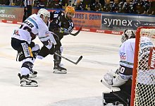 Pinguins Bremerhaven - Eisb&auml;ren Berlin - Carmen Jaspersen/dpa