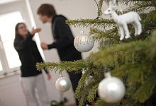 Streit unterm Baum - Andreas Gebert/dpa