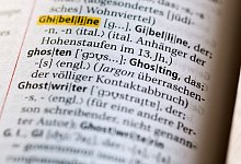 Das Wort „Ghosting“ im Duden - Jens Kalaene/dpa