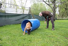 Hundetraining - Kirsten Fuhrmann