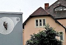 Gefiederte Mietnomaden - Bielefeld