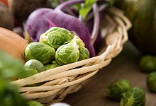 Rosenkohl und violetter Kohlrabi liegen in einem Korb - Christin Klose/dpa-tmn