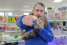 1739284367142 - Svenja Ludwig