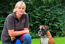 img_0844 - 1 - Boxer-Klub Kalletal