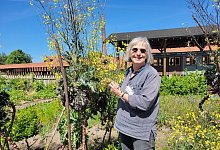 20250514_1229560 - Vasco Stemmer