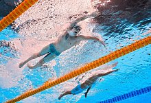 Schwimm-WM in Singapur - Lee Jin-man/AP/dpa