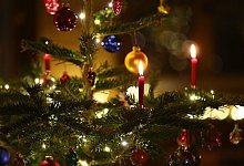 Geschmückter Weihnachtsbaum - picture alliance / Karl-Josef Hildenbrand/dpa