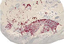 Felskunst auf Sulawesi - Griffith University/dpa