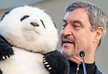 Panda-PK im Tierpark Hellabrunn - Peter Kneffel/dpa