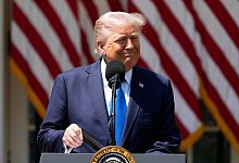 US-Präsident Trump spricht am National Day of Prayer - Alex Brandon/AP/dpa