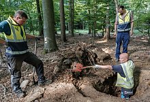 Verdacht auf Raubgrabung an jungsteinzeitlichem Grabhügel - Markus Scholz/dpa