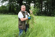 Gerettet: Tassilo Marowsky vom Hegering Versmold greift das Rehkitz mit Handschuhen und Gras, damit der Menschenduft nicht an dem Tier haftet. - Mareike Gr&ouml;neweg
