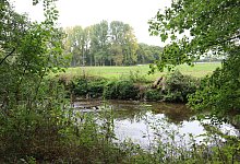 305284018 - Birgit Guhlke