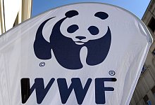 WWF - Jens Kalaene/ZB/dpa