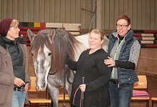 Kommunikation zwischen Mensch und Pferd - Sylvia Frevert